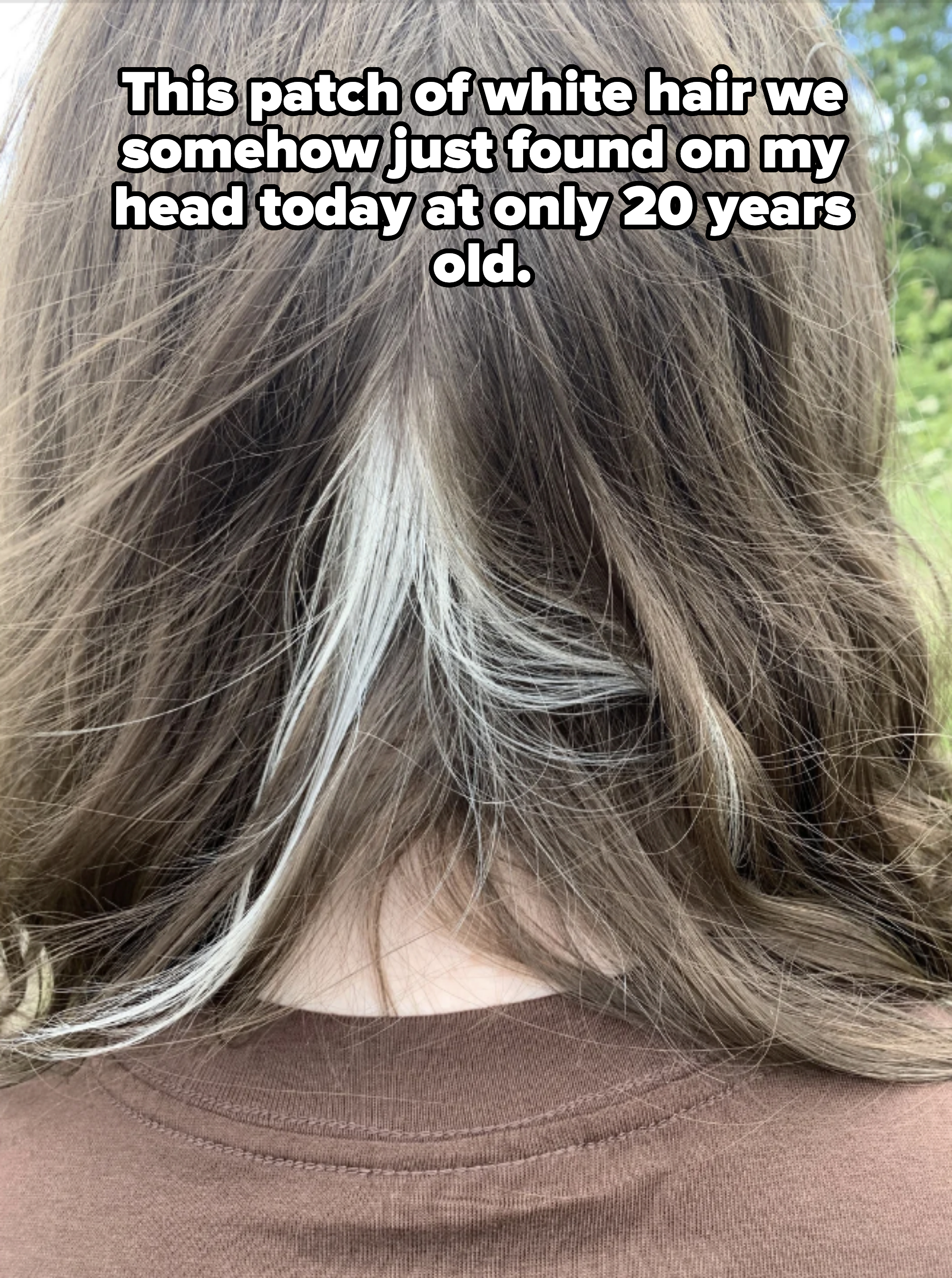 A person with long brown hair has a streak of white hair at the back of their head, partly concealed by their brown hair