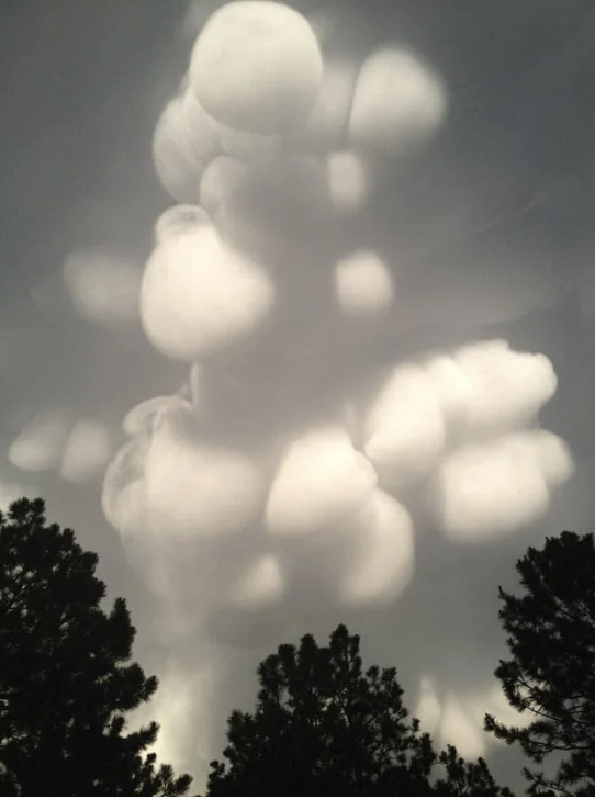 Clouds with round shapes fill the sky, with tree tops visible at the bottom of the image