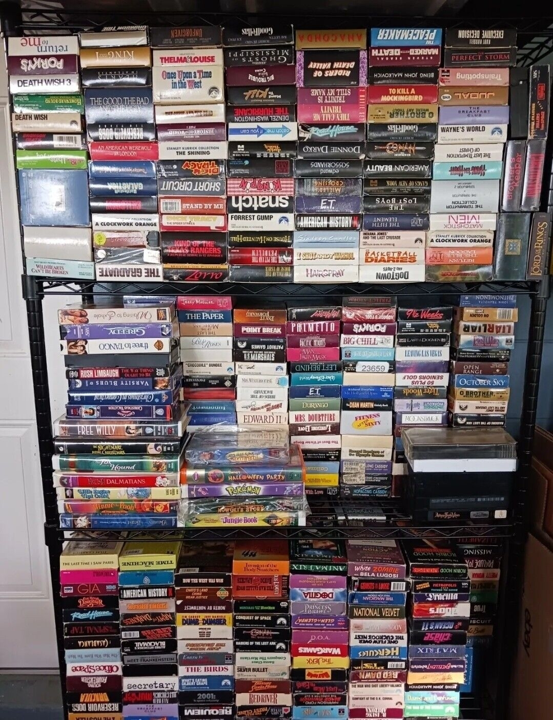 Collection of VHS tapes on shelves, featuring classic movies such as &quot;Thelma &amp;amp; Louise&quot;, &quot;Gone with the Wind&quot;, and &quot;The Terminator&quot;