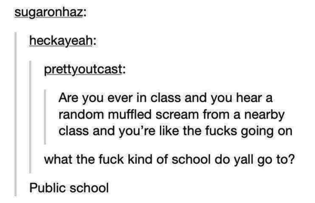 &quot;Text conversation about random muffled screams in public schools, someone&#x27;s disbelief and response with &#x27;Public school.&#x27;&quot;