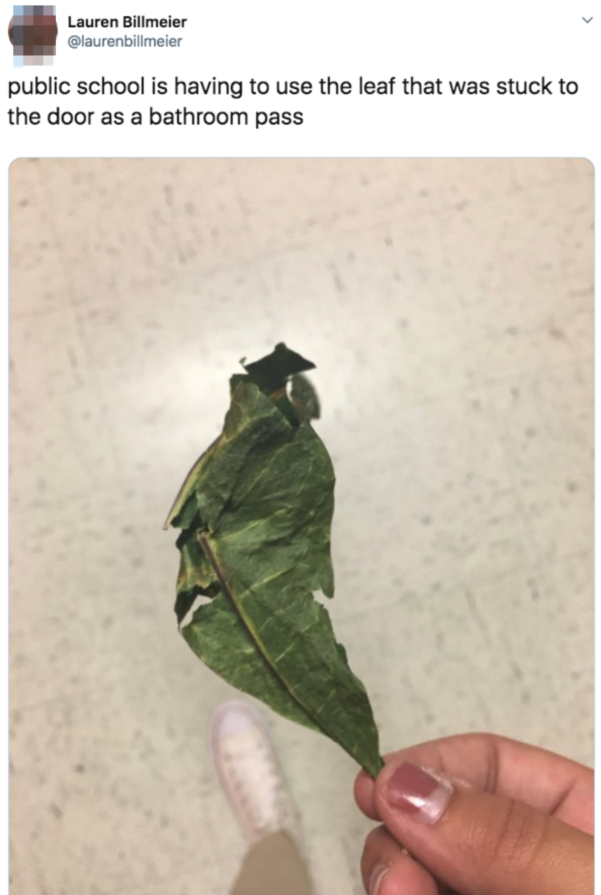 A hand holds a wilted leaf being used as a bathroom pass in a public school. Text above reads, &quot;public school is having to use the leaf that was stuck to the door as a bathroom pass.&quot;