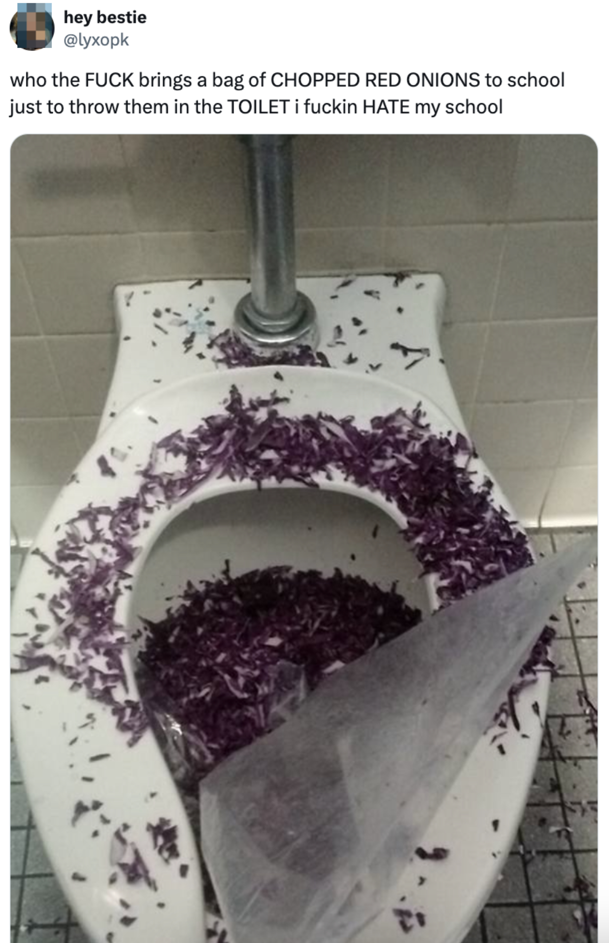 A messy toilet bowl filled with a large quantity of chopped red onions spilled inside and around it. The tweet above reads: &quot;who the FUCK brings a bag of CHOPPED RED ONIONS to school just to throw them in the TOILET I fuckin HATE my school.&quot;