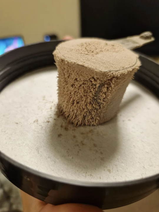 Close-up of a scoop filled with protein powder resting on the rim of a container lid