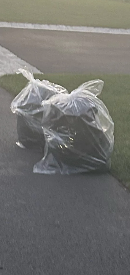 Two large garbage bags are filled and tied, placed on a sidewalk next to a grassy area, waiting for collection