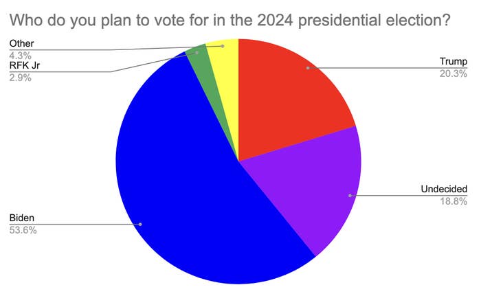 Pie chart showing 2024 presidential election voting intentions. Biden 53.6%, Trump 20.3%, Undecided 18.8%, Other 4.3%, RFK Jr 2.9%