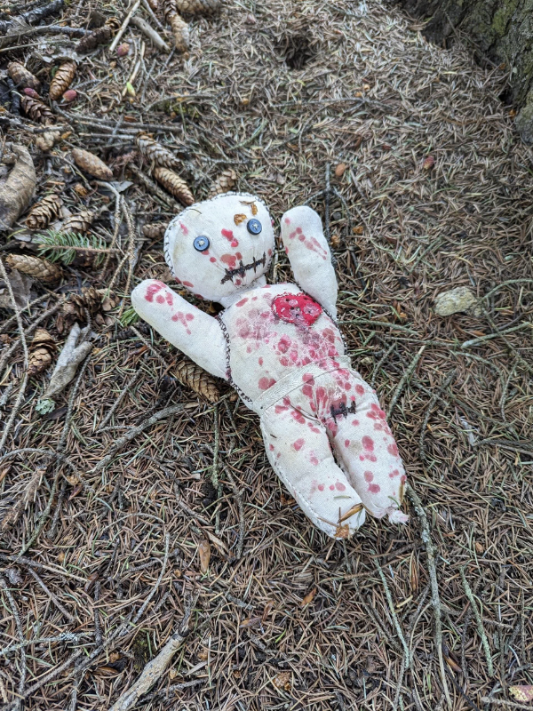 A tattered plush doll with button eyes and a stitched mouth, lying on a forest floor covered in pine needles and cones. The doll has red stains and a stitched red heart