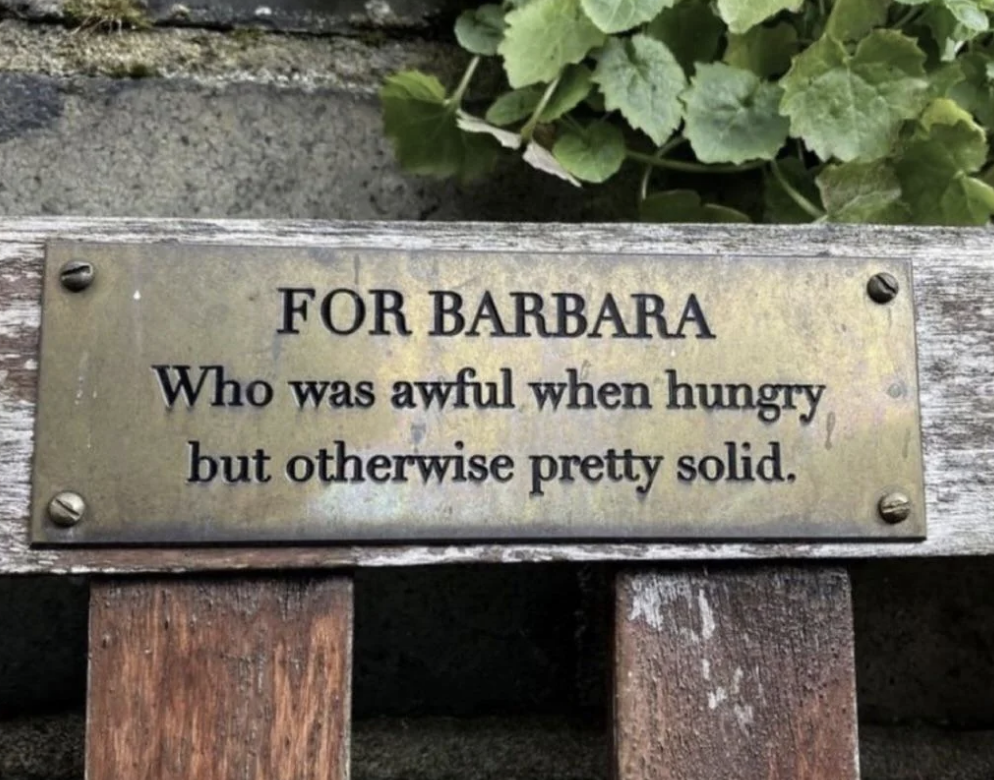 Plaque on a bench reads: &quot;FOR BARBARA, Who was awful when hungry but otherwise pretty solid.&quot;