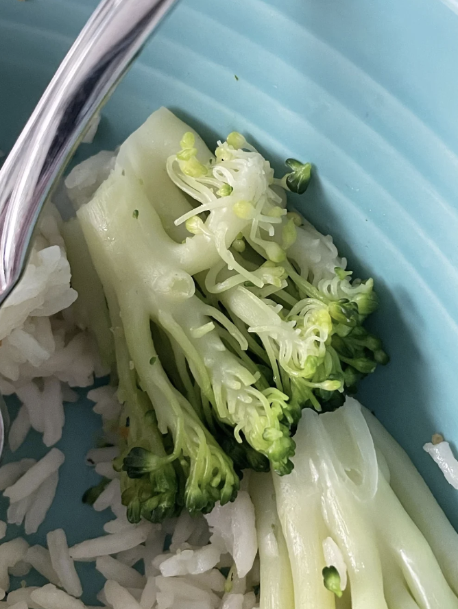 Close-up of a plate with steamed broccoli florets and white rice, with a metal fork partially visible