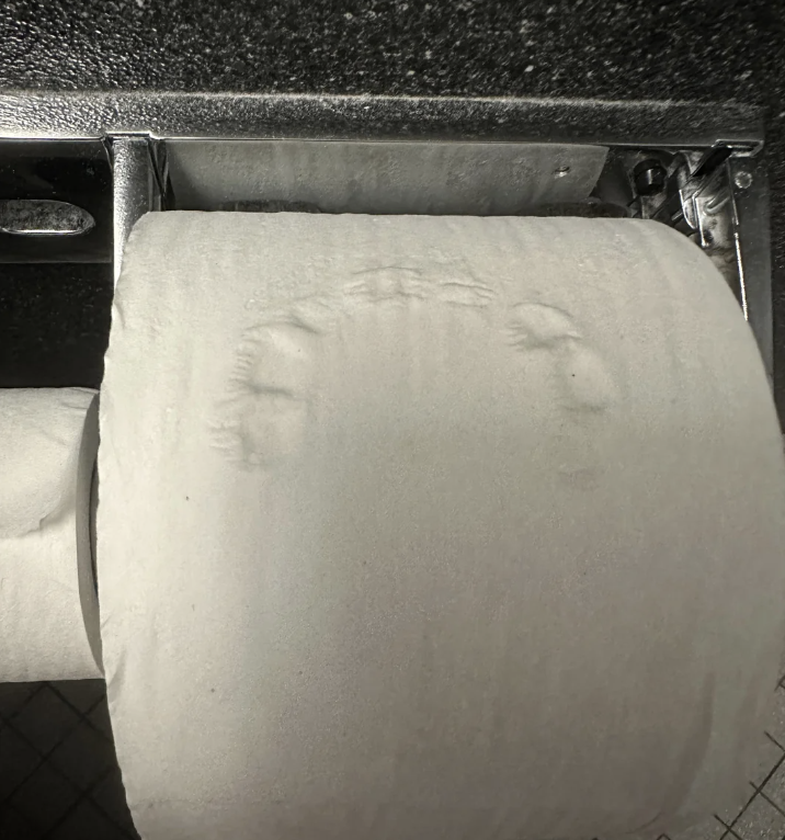 A roll of toilet paper appearing to show a face, likely the result of manufacturing or storage. The impression gives it an eerie and humorous look