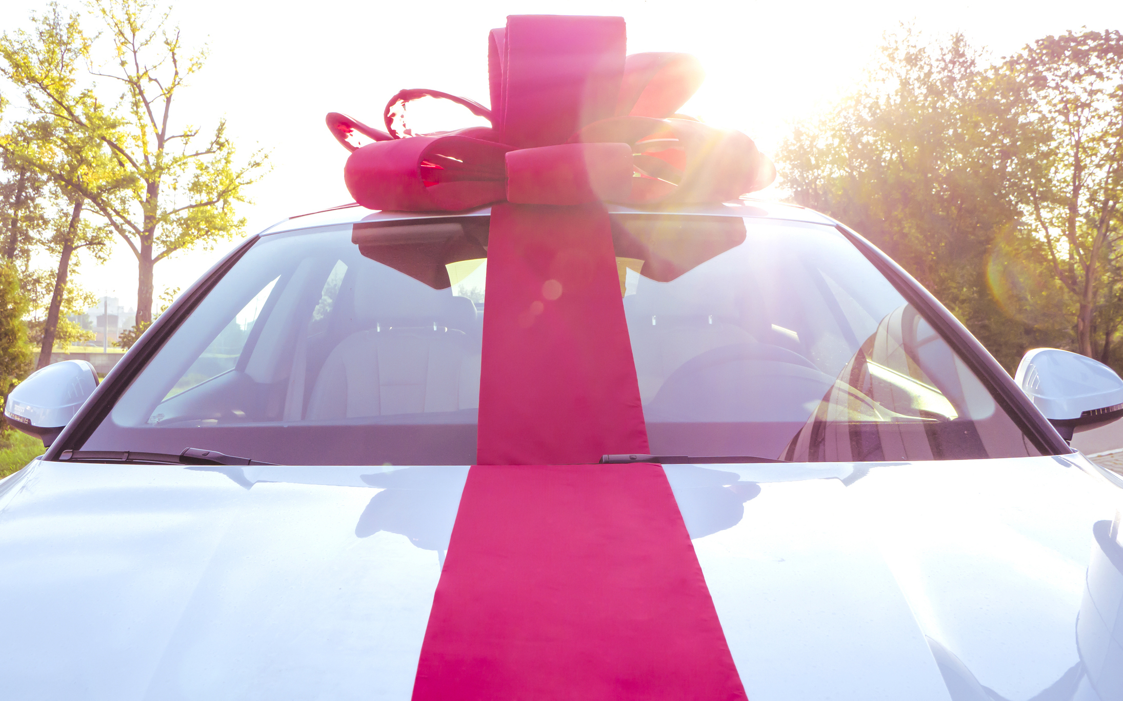 A car with a large red bow on the hood is parked outdoors with trees in the background
