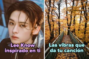 Imagen dividida. A la izquierda, Lee Know con texto "Lee Know inspirado en ti". A la derecha, un puente en un bosque otoñal con texto "Las vibras que da tu canción"