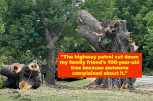 A chopped down large tree lies on the ground beside its trunk. Text overlay reads, "The highway patrol cut down my family friend's 100-year-old tree because someone complained about it."