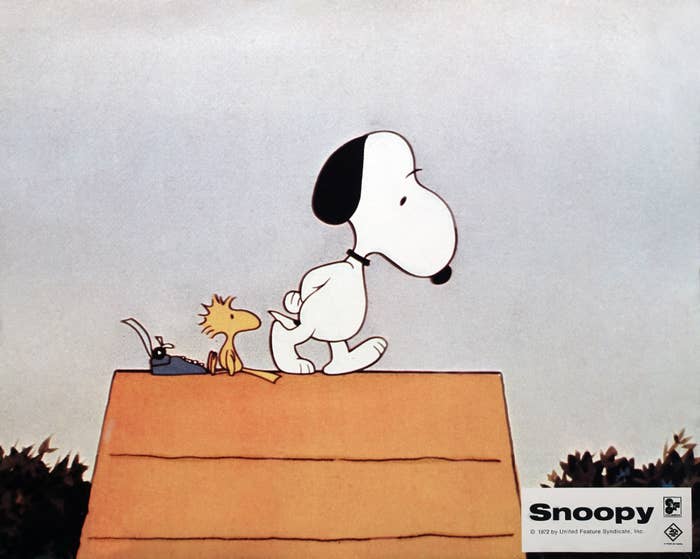 Snoopy and Woodstock are on top of Snoopy&#x27;s doghouse, with a typewriter next to them