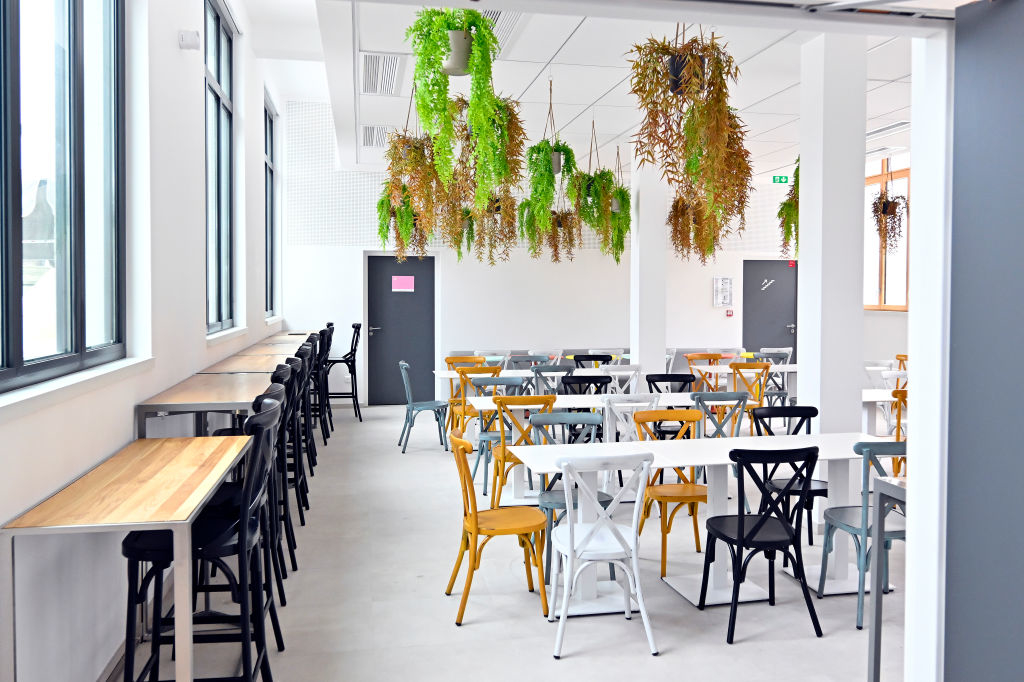 Olympic dining room, which is a bright modern cafeteria seating, minimalist tables, hanging plants, and large windows providing natural light