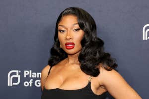 Megan Thee Stallion poses in a black dress with wavy hair at a Plan of Action event