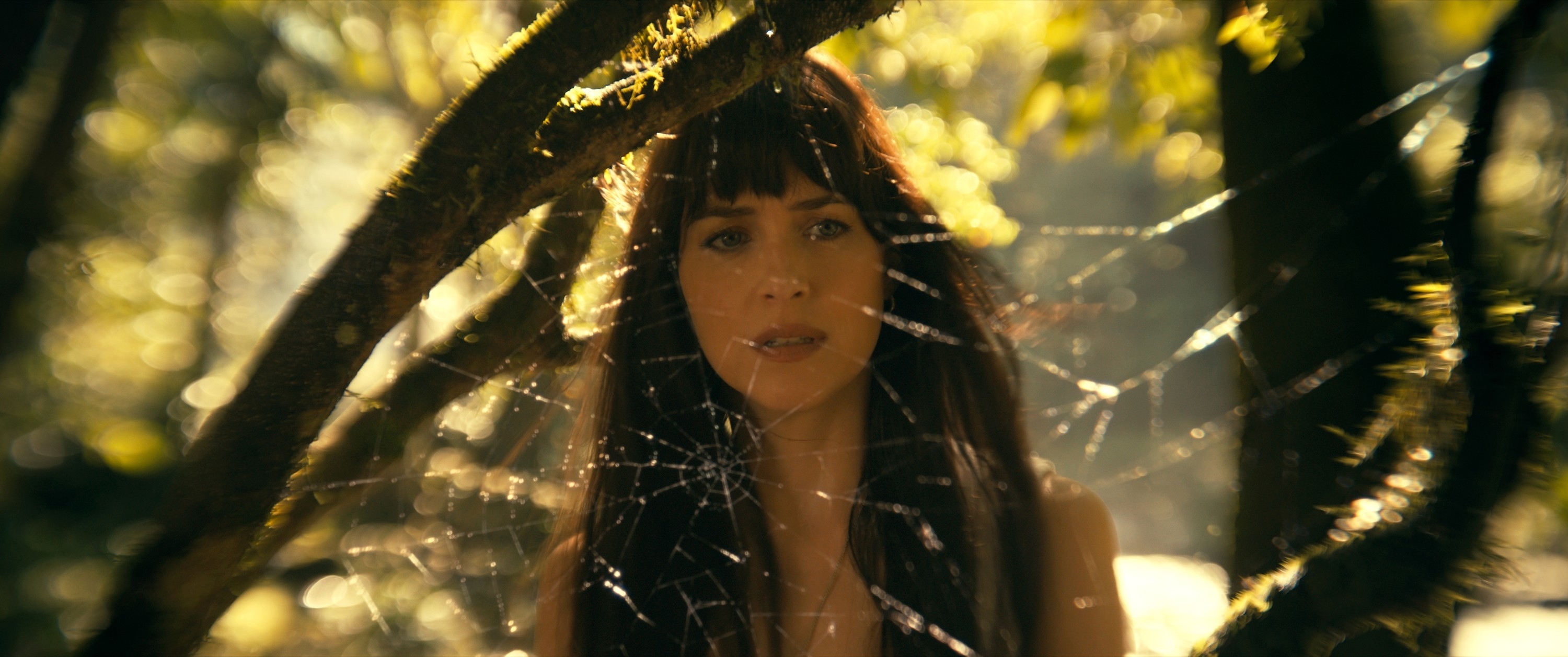 A woman with long hair looks through a spiderweb hanging between tree branches in a forest