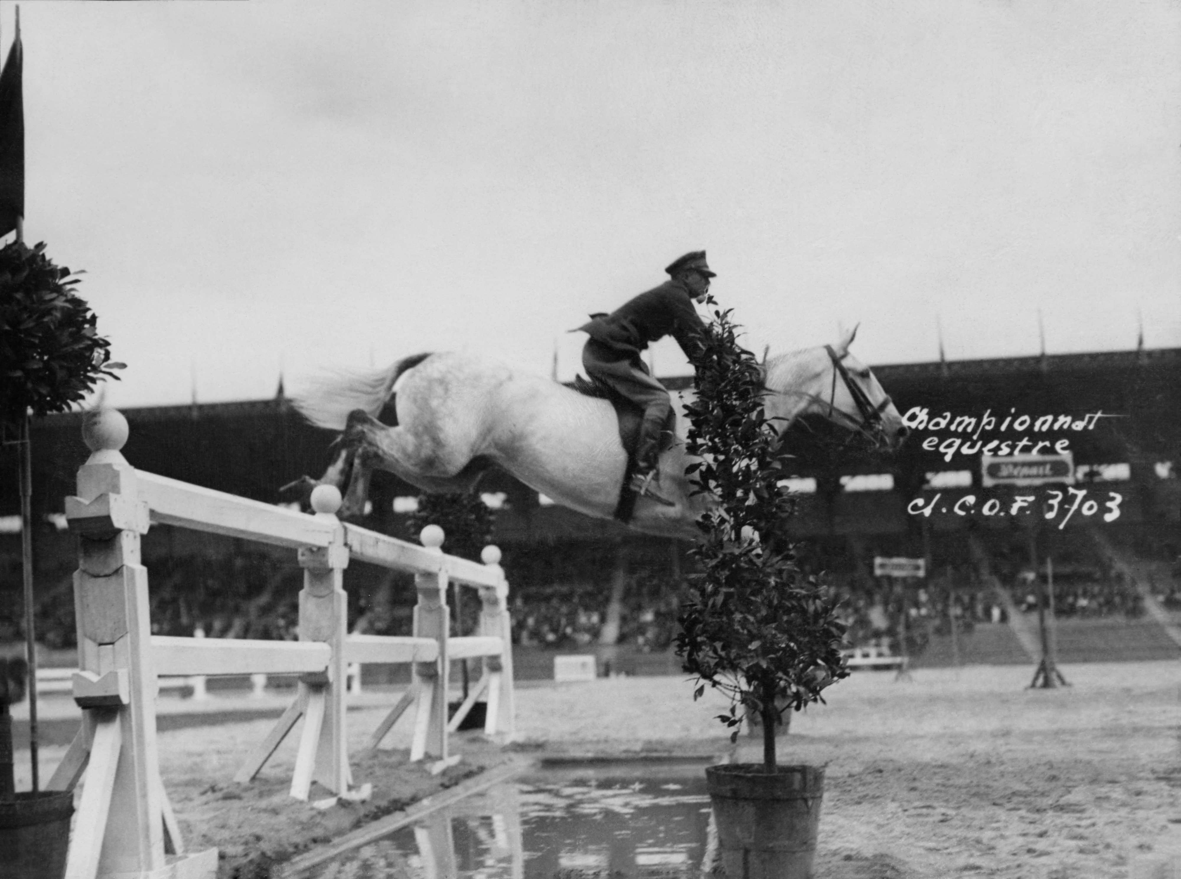 Equestrian rider clears jump on white horse at a competition. Stadium and spectators visible