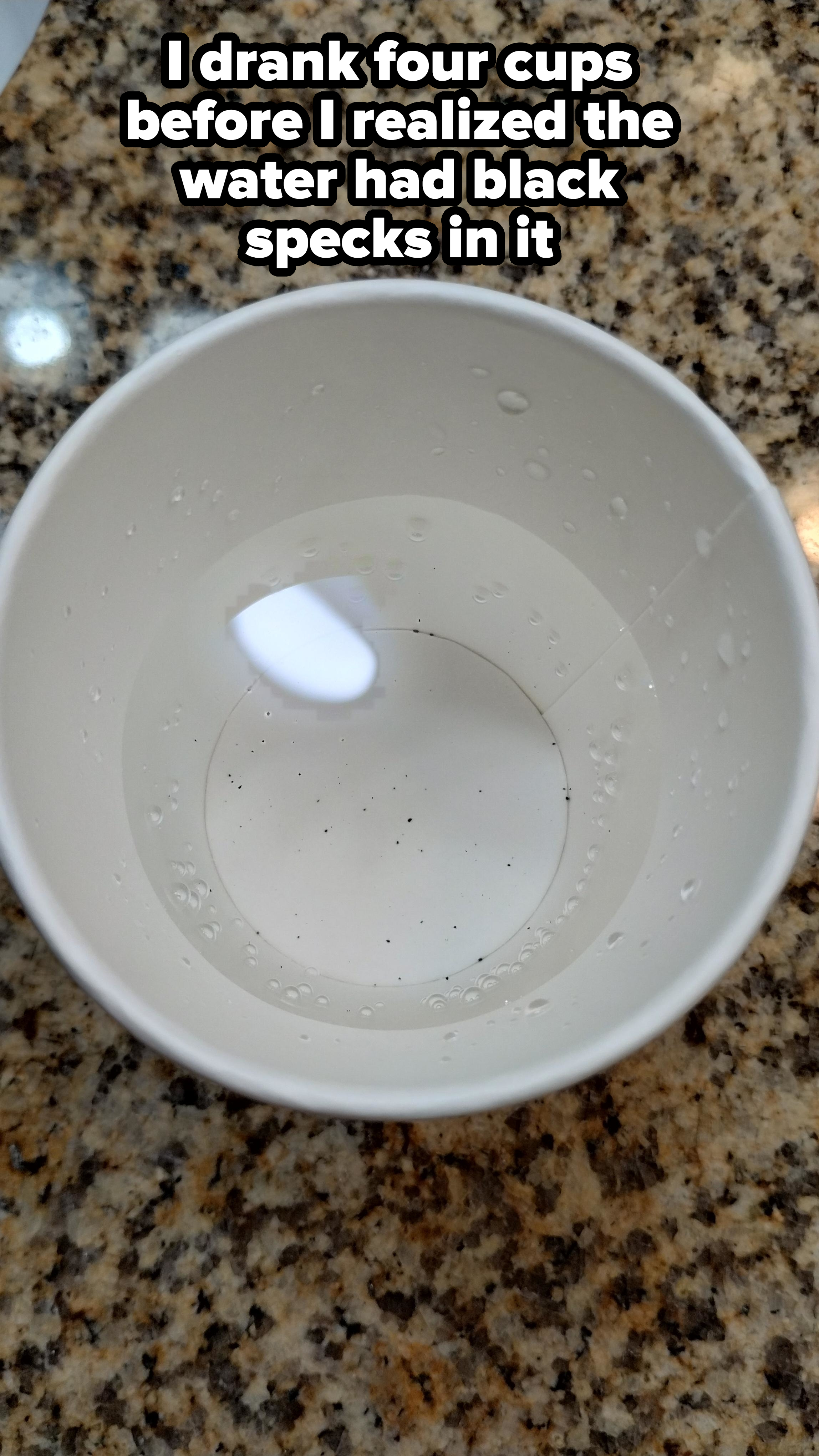 A cup containing clear liquid with small black particles floating, sitting on a granite countertop