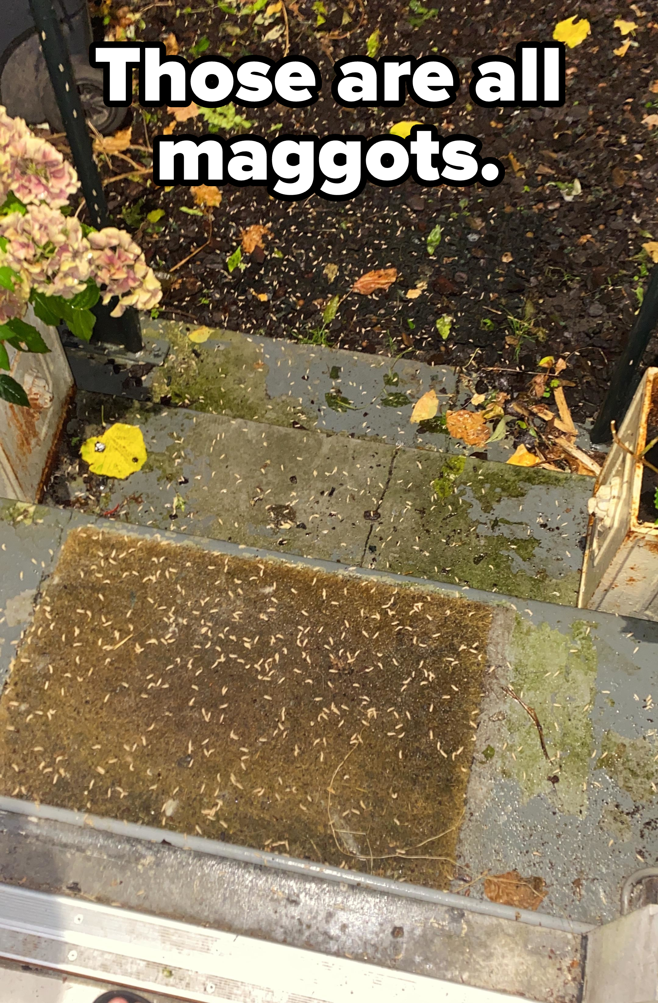 A doormat is covered with small debris, possibly seeds or leaves, leading to a few steps down a stone staircase to a garden area with scattered foliage