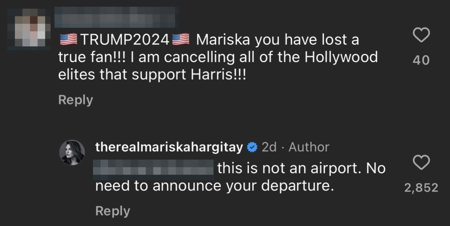 Screenshot of an Instagram comment where the first user expresses disdain for Mariska Hargitay for supporting Kamala Harris with Mariska&#x27;s reply