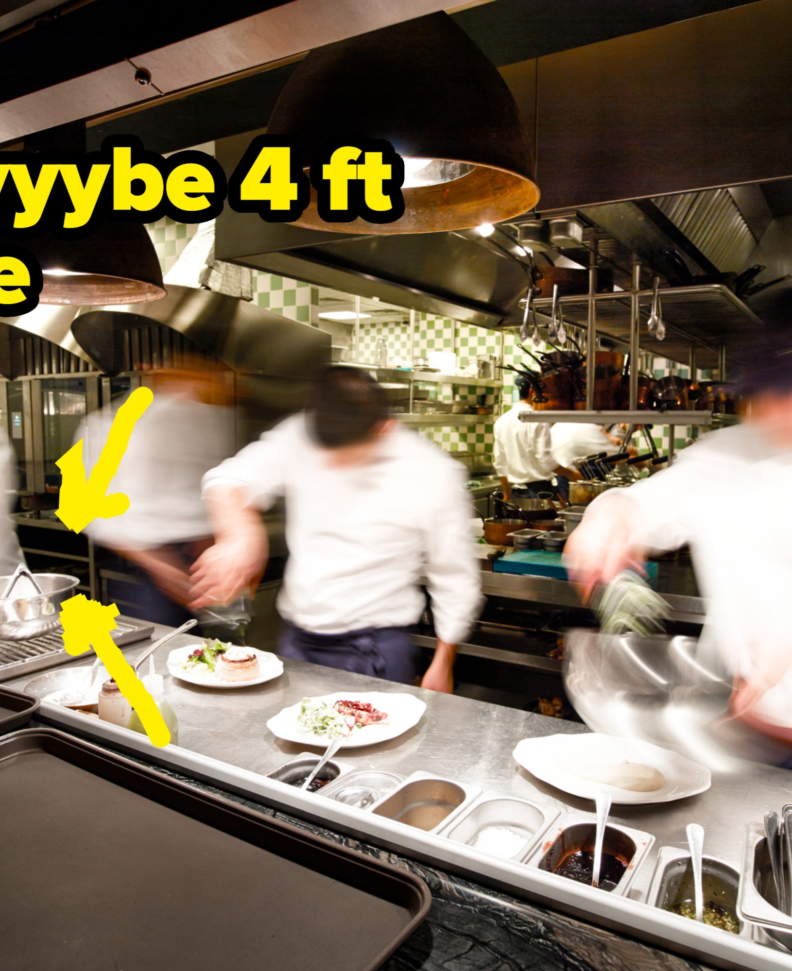 Chefs in a busy kitchen prepare and plate food, their movements blurred by activity