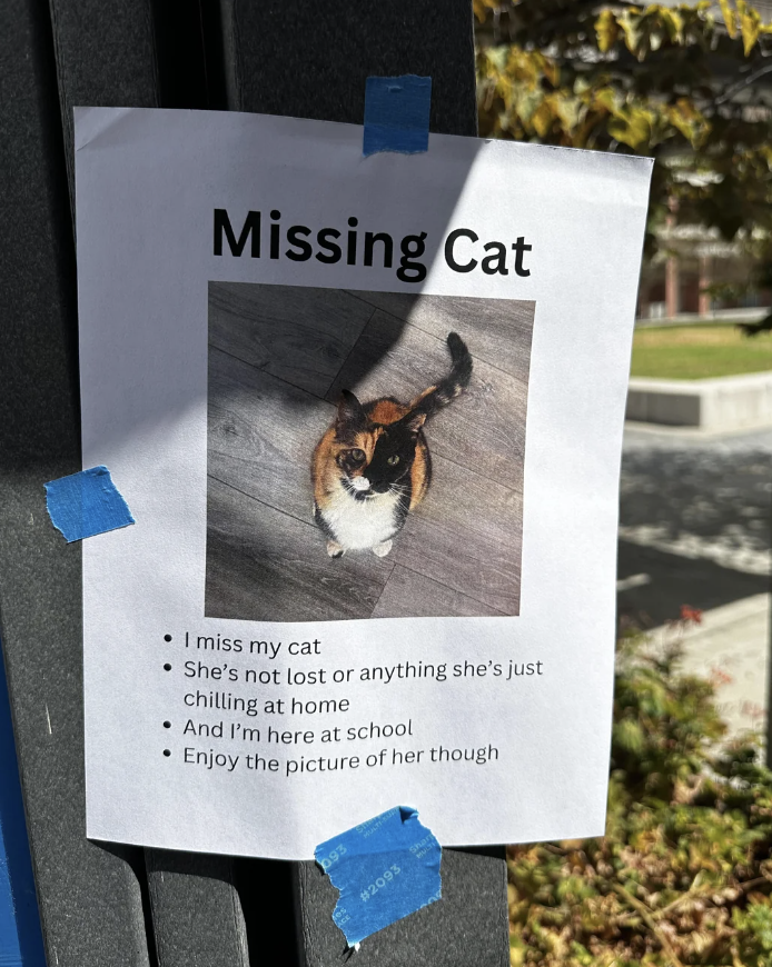 A humorous missing cat flyer showing a cat at home. The text reads: &quot;Missing Cat. I miss my cat. She&#x27;s not lost or anything, she&#x27;s just chilling at home. And I&#x27;m here at school. Enjoy the picture of her though.&quot;