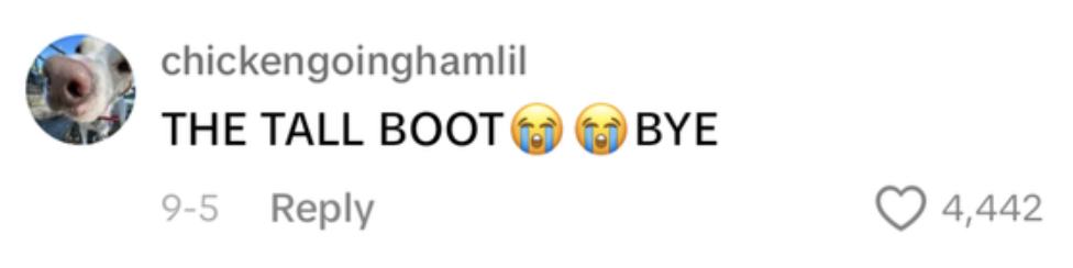 Comment by user chickengoinghamlil reads, &quot;THE TALL BOOT ?? BYE&quot; with 4,442 likes