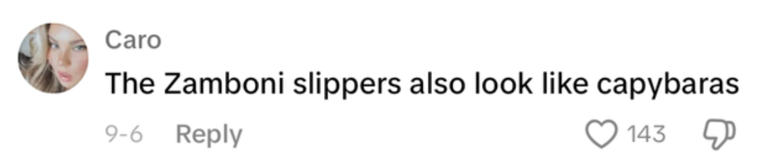 Caro comments, &quot;The Zamboni slippers also look like capybaras,&quot; receiving 143 likes and one dislike