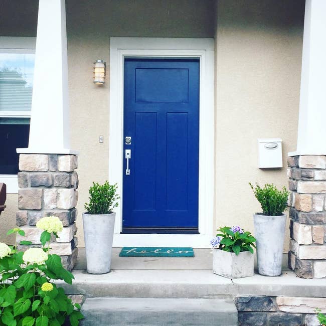 Reviewer's front door painted in a bold blue