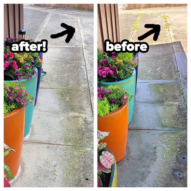 Before and after view of a reviewer's sidewalk, one side with weeds in the cracks and other side clean after using the crack weeder