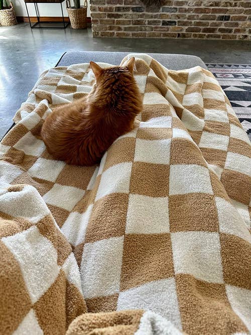 reviewer under the burnt orange blanket, with a cat on top