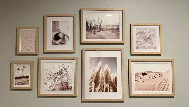 A variety of framed photographs featuring nature scenes displayed on a wall