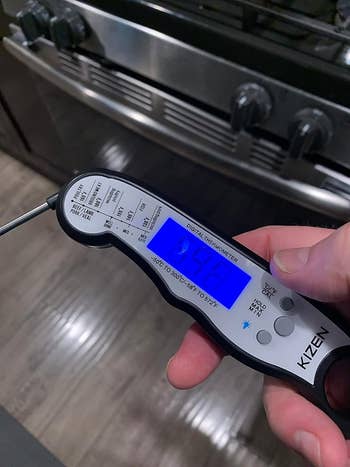 reviewer holding a digital meat thermometer