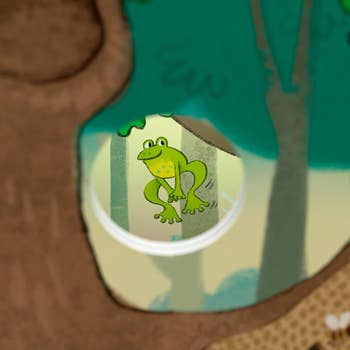A green frog with a yellow belly peeks through a circular hole in a tree illustration, amidst a forest background