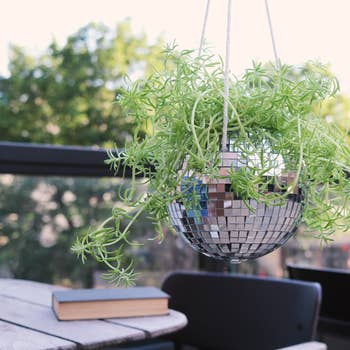 The disco ball planter with a plant in it on a patio