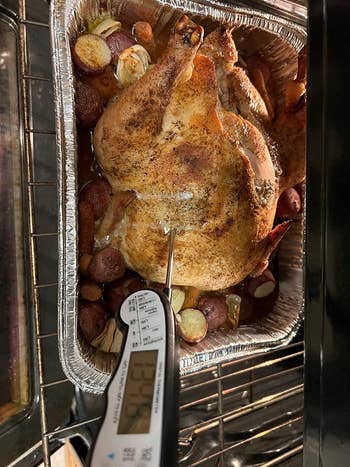 A reviewer's roasted chicken in a baking tray with a digital thermometer inserted into the chicken