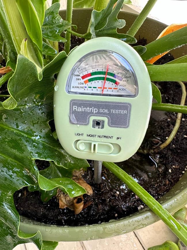 Soil meter displaying moisture, pH, and light levels in a potted plant