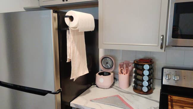 Kitchen counter with appliances, paper towel holder, and spice jars. No persons present