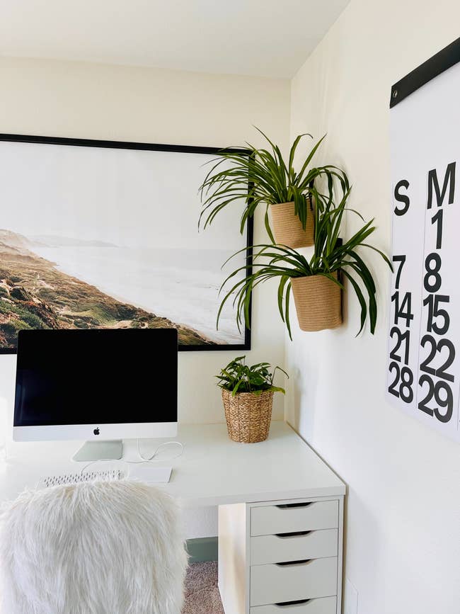 reviewer uses the baskets for plants above their desk