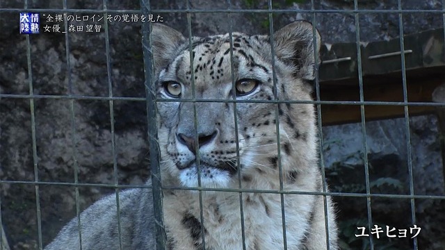 森田望智の『情熱大陸』で公開された濃厚濡れ場エロ画像059