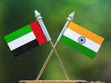 India, UAE investment promotion, protection treaty comes into effect from Aug 31: FinMin