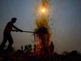 A variety of paddy has found centre-stage in Delhi NCR's pollution debate