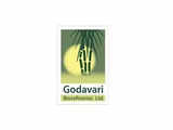 Godavari Biorefineries shares to debut today. GMP hints at flat listing