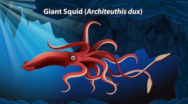 Bezpłatny plik Wektor giant squid architeuthis dux vector