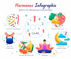 Bezpłatny wektor projekt infograficzny gradientowych hormonów