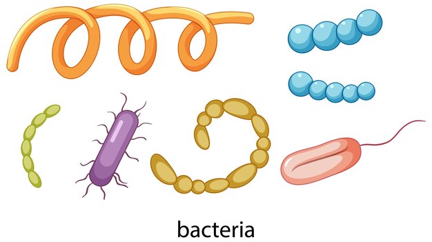 Zestaw ikon bakterii na białym tle