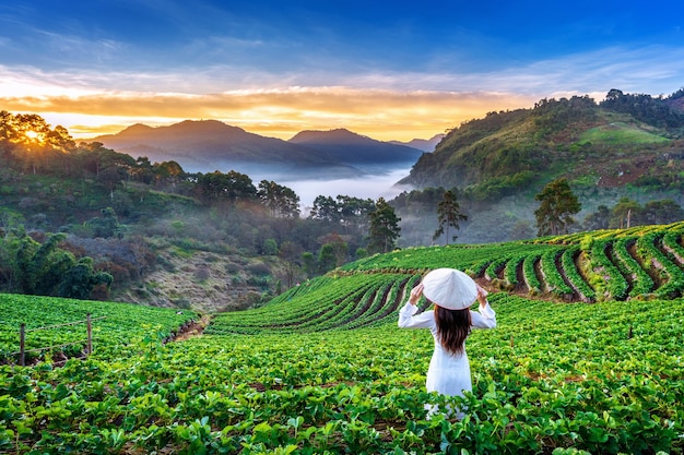 Bezpłatne zdjęcie azjatycka kobieta ubrana w tradycyjną kulturę wietnamu w ogrodzie truskawkowym na doi ang khang, chiang mai, tajlandia.