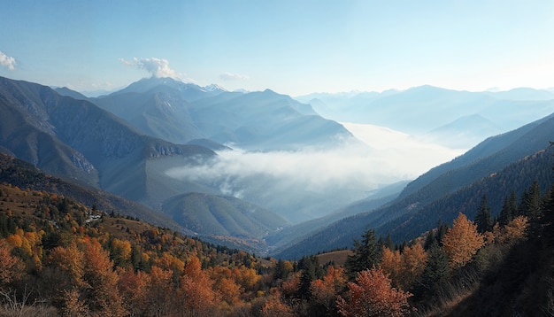 Bezpłatne zdjęcie piękna naturalna scena jesienna