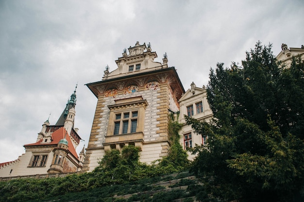 Bezpłatne zdjęcie piękna przyroda w parku pruhonice w pruhonicach w czechach