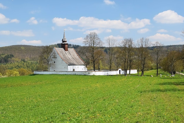 Bezpłatne zdjęcie 